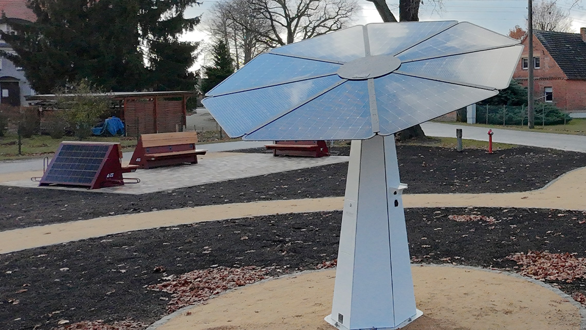 Solarblume in Weißkeißel