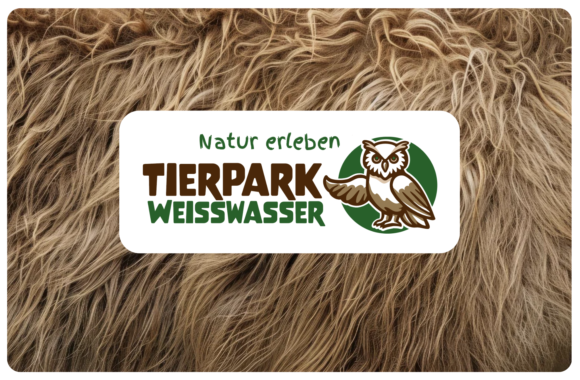 Neues Design für den Tierpark Weißwasser