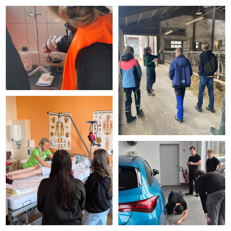 Schau rein Coll neue